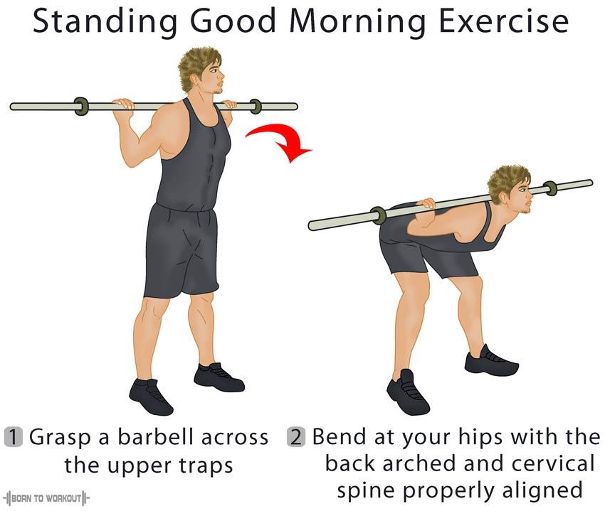 How to Good Mornings Exercises 