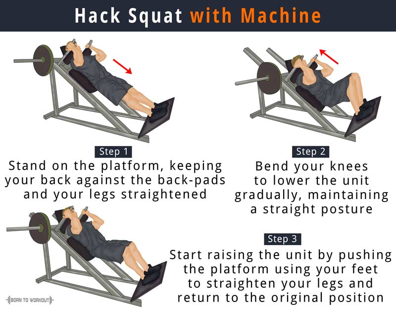 Machine Hack Squat What is it, Benefits, Alternatives, How to do