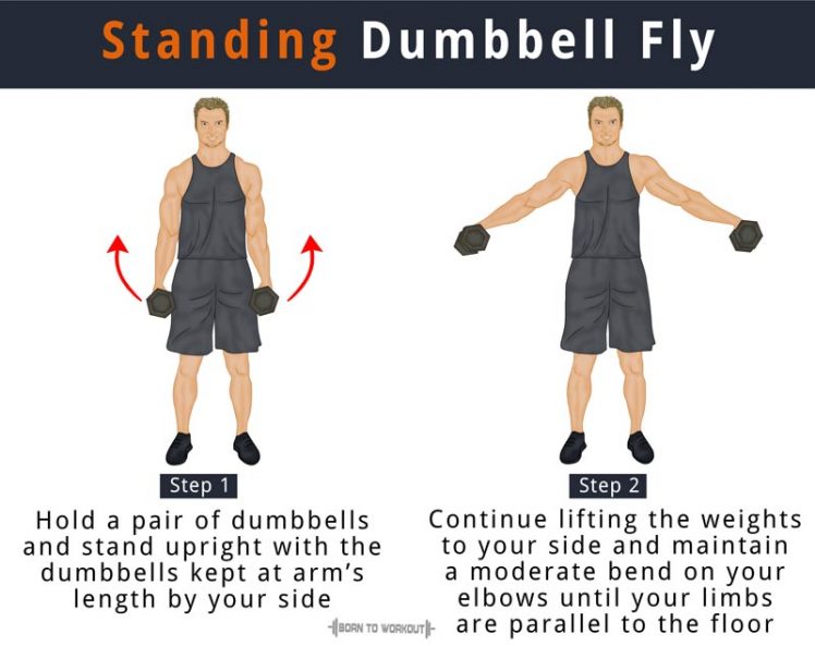 Standing Dumbbell Fly Born to Workout Born to Workout