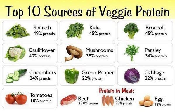 Food Chart For Muscle Building