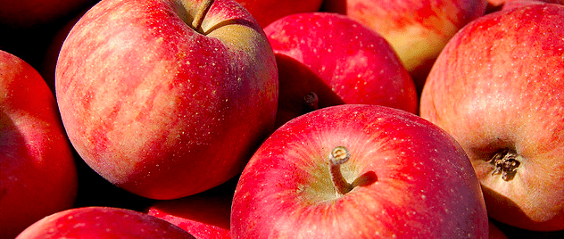 apple diet for weight loss