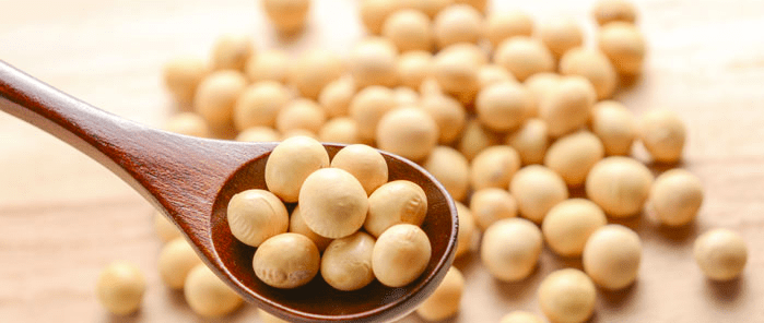 soy beans diet plan