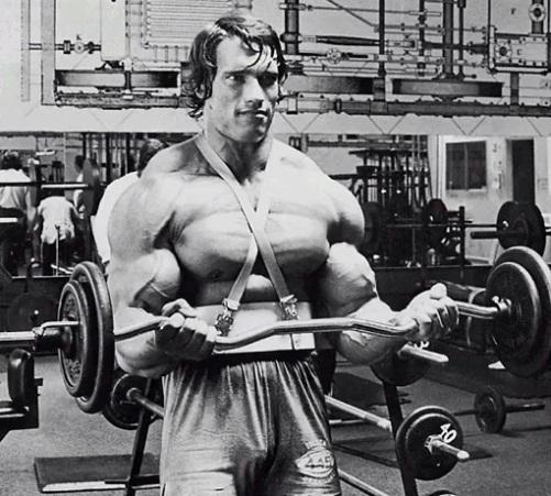 Arnold Schwarzenegger Arm Workout