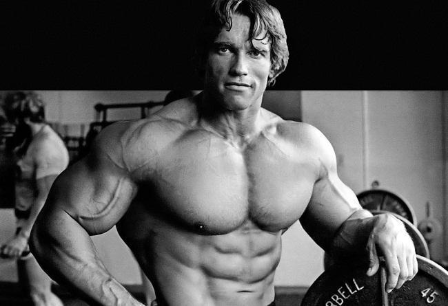 Arnold Schwarzenegger Body