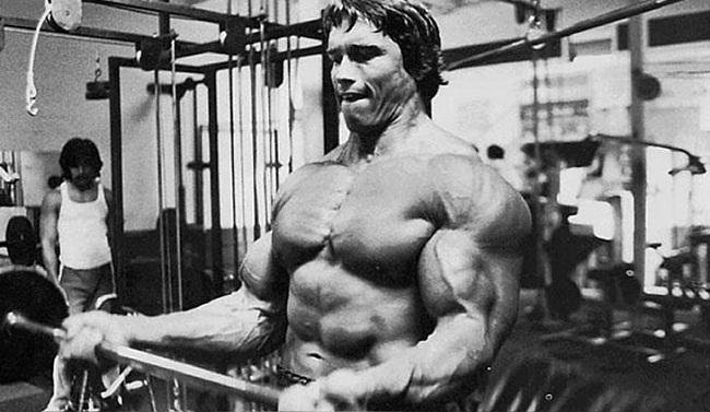 Arnold Schwarzenegger Chest Workout