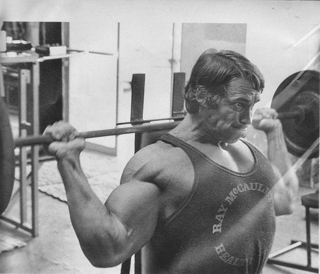 Arnold Gym Workout Chart