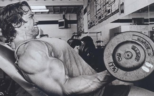 Arnold Bodybuilding Workout Chart