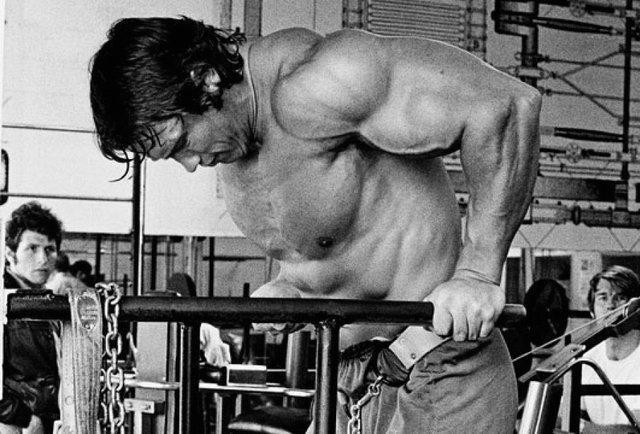 Arnold Bodybuilding Diet Chart