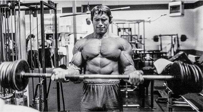 Arnold Bodybuilding Workout Chart