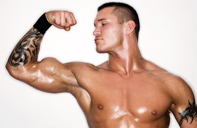 6 Day Randy orton gym workout for Build Muscle