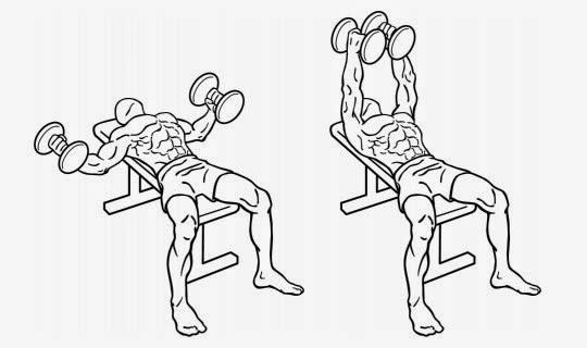 Decline Bench Dumbbell Press Born To Workout Born To Workout