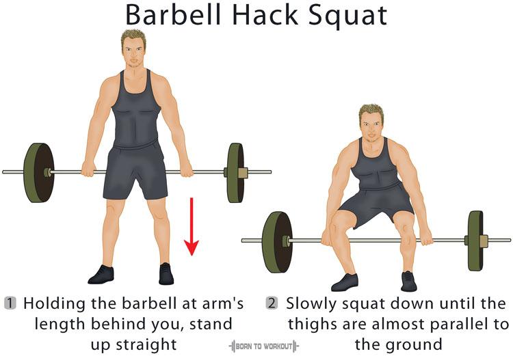flap mercy Occupy Barbell Hack Squat: How to do, Benefits, Proper Form, Video, Pictures