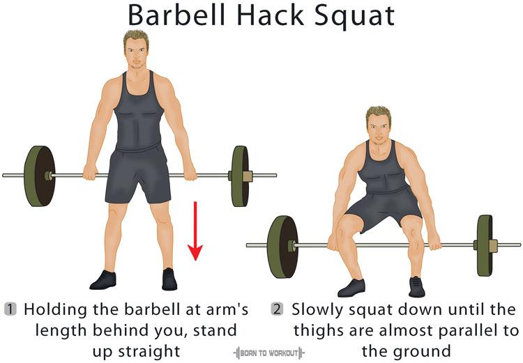 Hack Squat Machine