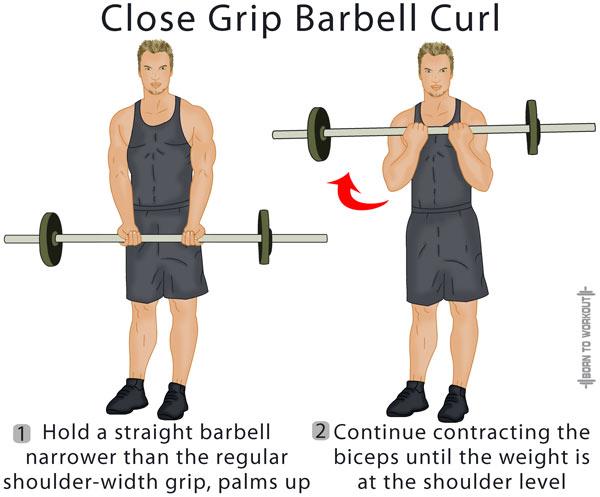 Close Grip Standing Barbell Curl