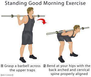 Standing Good Morning Exercise
