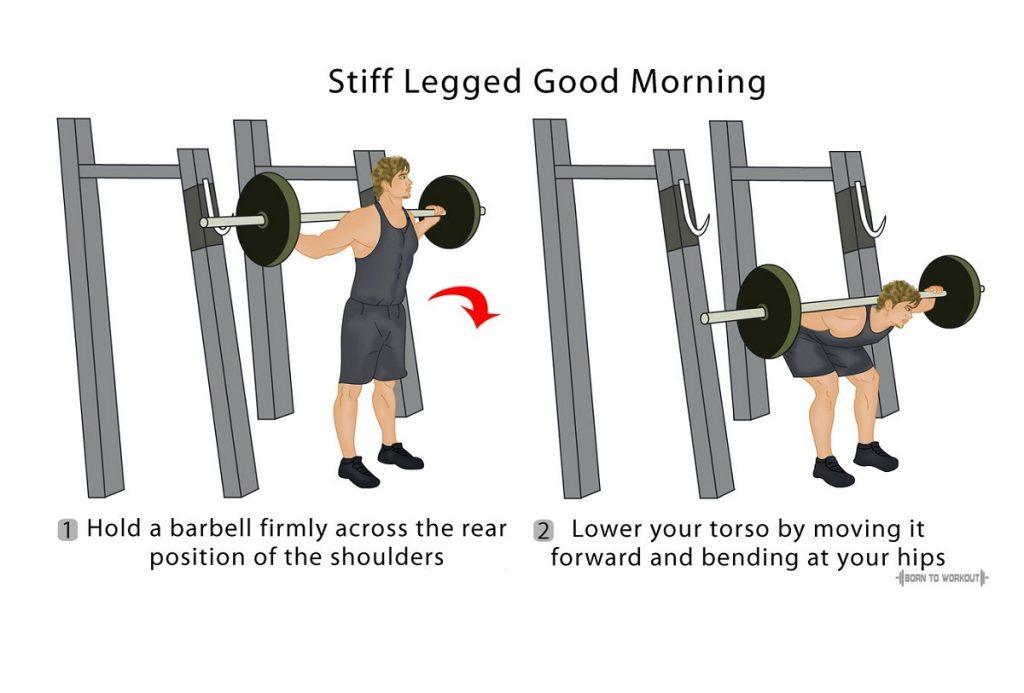 Stiff Legged Good Morning Exercise