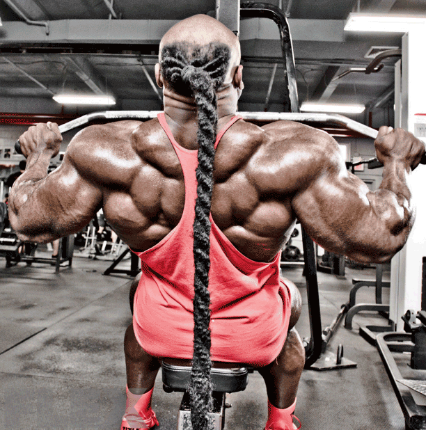 Kai Greene Workout Routine Meal Plan