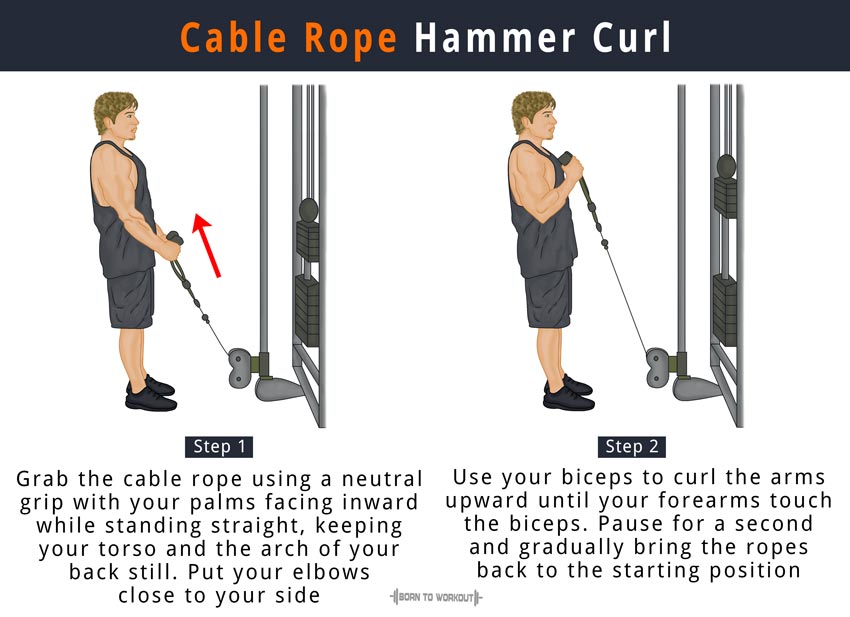 Rope exercise for biceps new arrivals