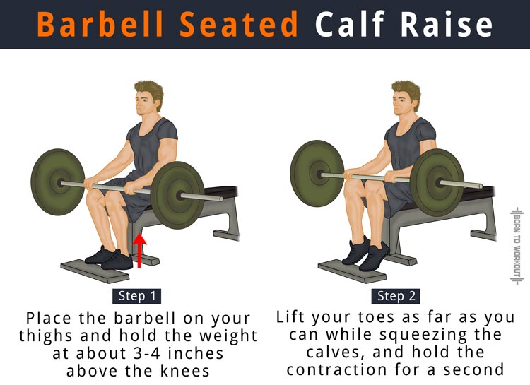 Seated Calf Raise What Is It How To Do Alternatives