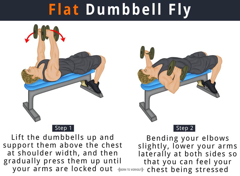 Flat Dumbbell Fly What Is It How To Do Muscles Worked Forms