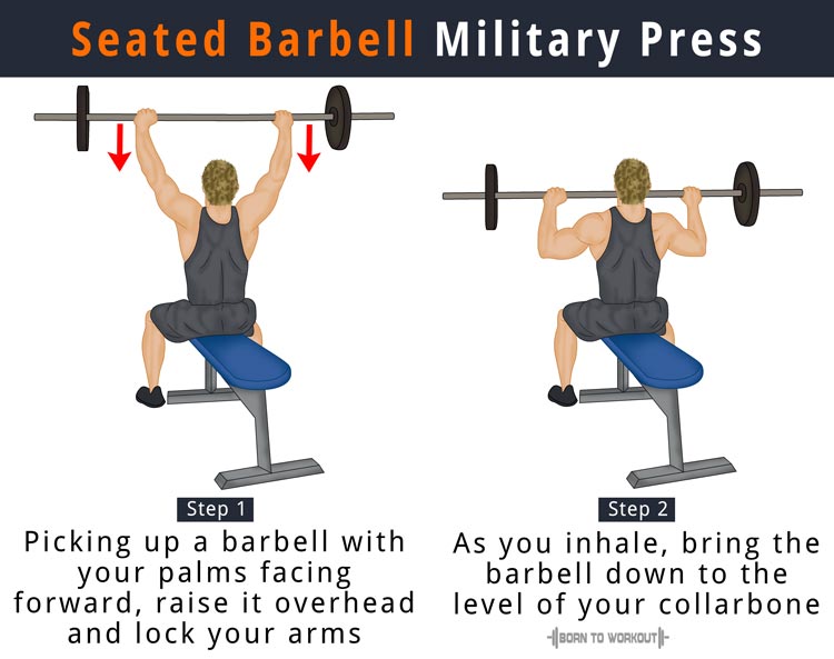 Seated Overhead Dumbbell Press Muscles Worked Slideshare