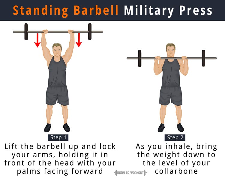 Military Press Weight Chart