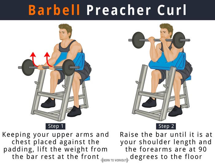 Preacher Curl Weight Chart