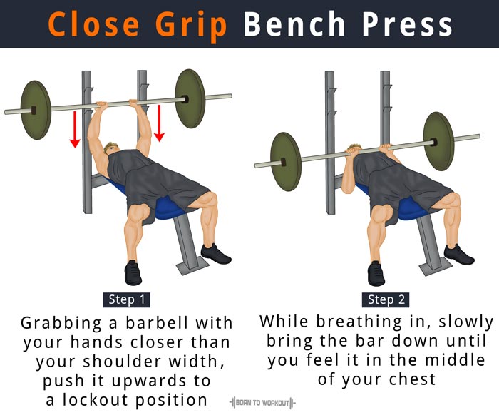 Close Grip Bench Press Proper Form Benefits Muscles