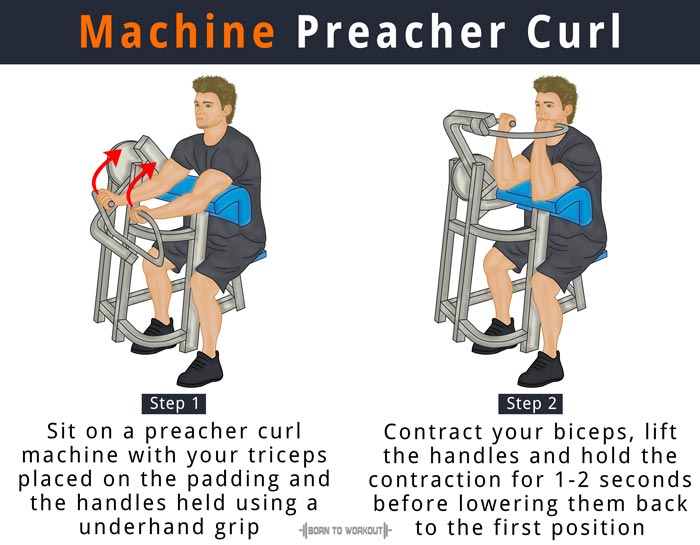 Preacher Curl Weight Chart