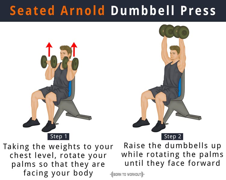 Seated dumbbell press form online