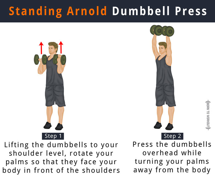 Standing grip. Dumbbell Arnold Press. Standing Dumbbell Press. Dumbbell overhead Press. Arnold Press Dumbbell Shoulders.