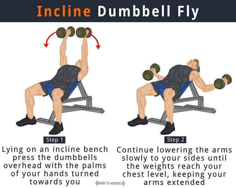 Dumbbell Flys What Is It How To Do Muscles Worked Benefits